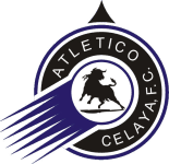 Celaya 2