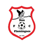 Sua Flamingoes